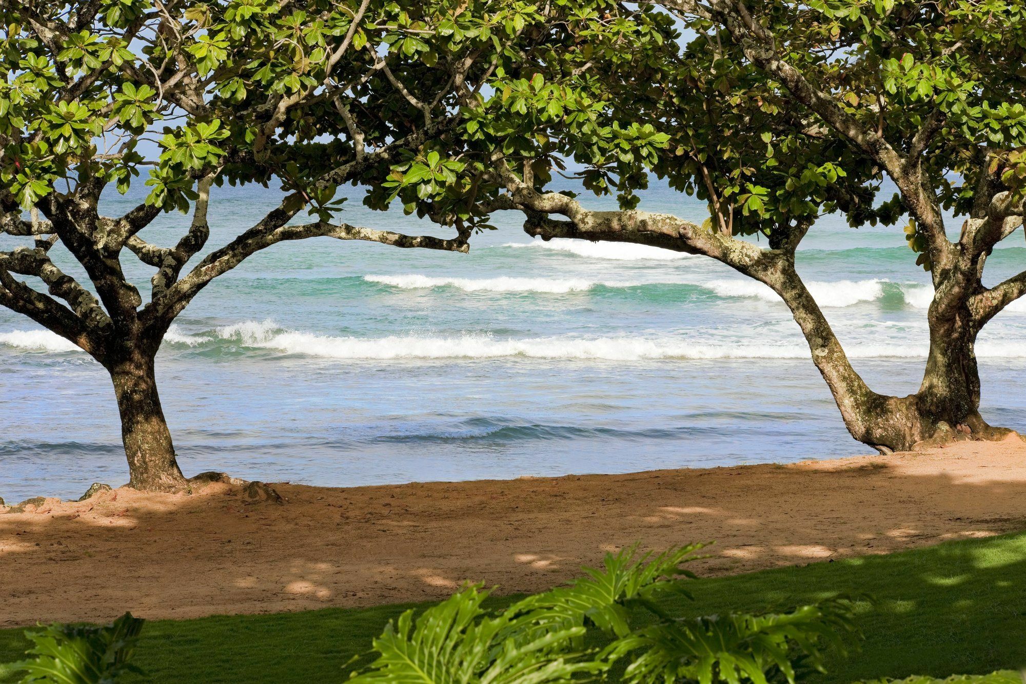1 Hotel Hanalei Bay 프린스빌 외부 사진